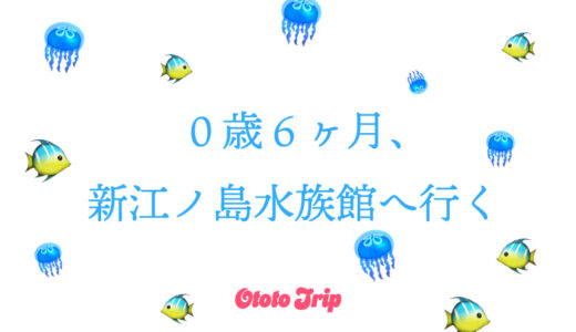 ０歳６ヶ月、新江ノ島水族館へ行く